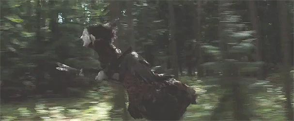 De vangst van een heks door Hansje en Grietje uit de film &rsquo;Hansel and Gretel Witch Hunters&rsquo; (2013)